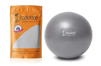Cockatoo Pvc 25 Cm Mini Gym Ball, Exercise Ball(6 Month Warranty)