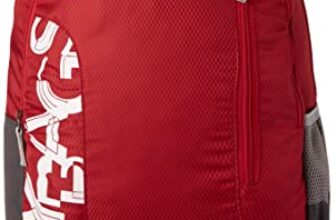 Skybags Brat Wine Red 46 Cms Casual Standard Backpack