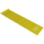 Everlast Aerobic Band