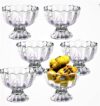 Sreeji Plastic Dessert Bowl Plastic Ice Cream Cup Bowl With Desert ,Sweet Dish Serving Set(Pack Of 6, Clear)