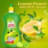 MKRB Lemon and Active Salt Dish Wash Utensil Cleaner, Tough Stain Removal Dish Cleaning Gel(Green Lemon, 1 L)