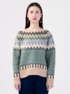 Albion Solid Round Neck Casual Women Brown Sweater