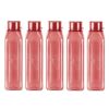 MILTON Prime 1000 Pet Water Bottle, Set of 5, 1 Litre Each, Burgundy | BPA Free | 100% Leak Proof | Office Bottle | Gym Bottle | Home | Kitchen | Travel Bottle | Hiking | Treking Bottle
