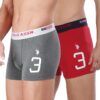 U.S. POLO ASSN. Men Brief