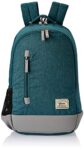 Gear Campus8 25L Medium Water Resistant School Bag/Casual Backpack/Daypack/College Bag/for Men/Women – Green Grey