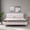 Springwel Easy PureOrtho CleanTech Pro 6 inch Small Single Size Mattress (Size- 72x36x6 inches)
