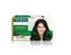Streax Ultralights Hair Colour Highlight Kit Green Hair Colour,Gem Collection – Green Emerald – Pack Of 1 Enriched With Walnut&Argan Oil Hair Colour For Women Rich,Vibrant,Easy To Use,Diy Application
