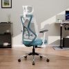 Green Soul | Zodiac Superb | Ergonomic Mesh Office Chair | Adjustable Armrests | Multi-Tilt Lock Mechanism | Adjustable Lumbar Support | No Seat Slider (White & Teal) 3 Years Warranty