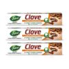 Dabur Herb’l Clove Cavity Protection Toothpaste – 600g (200g x 3) | No added Fluoride & Parabens | Fights Bacteria & Relieves Dental Pain | Provides Pleasant Mouthfeel After Brushing