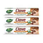 Dabur Herb’l Clove Cavity Protection Toothpaste – 600g (200g x 3) | No added Fluoride & Parabens | Fights Bacteria & Relieves Dental Pain | Provides Pleasant Mouthfeel After Brushing
