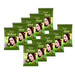 Neeta Pure Henna Powder for Hair with 9 Natural Herbs 15g (Pack of 10), 100% Natural Henna Mehndi for Soft & Shiny Natural Looking Hair