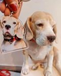 THE GRANDEUR Personalized Pet Photo Acrylic Keychain