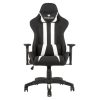 INNOWIN Defender IGC Series Gaming Chair with Premium Soft Fabric and PU Leather Ergonomic 3D Adjustable Armrest and Adjustable Neck & Lumbar Pillow with Glass Filled Nylon Base (White)