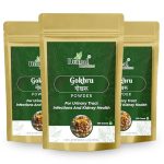 HERBAL BROTHERS Gokhru/Gokshura Powder Tribulus Terrestris (Palleru/Nerunjil) Churna, Boosts Strength, Stamina & Vitality To Supports Kidney & Urinary Health – 100gm (Pack of 3)
