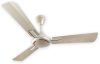 HAVELLS Ambrose 1200 mm 3 Blade Ceiling Fan(Gold mist Wood | Pack of 1)