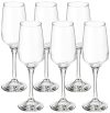 Amazon Brand – Solimo Champagne Glass Set, 220ml, Set of 6, Transparent