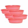 Simply Home Super Fresh 450 Multipurpose Storage Container Set | For Salad, Sweets, Fruits | For Home Kitchen and Office | Pack of 6 | 450 ml | Red Color