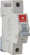 HAVELLS PVC Plastic 16A MCB SP B Curve (White) DHMGBSPF016 MCB(1)
