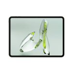 OnePlus Pad Go 28.85Cm 2.4K 7:5 Ratio Readfit Eye Care LCD Display, Dolby Atmos Quad Speakers, Wi-Fi Connectivity Tablet, 8GB RAM 128 GB Storage Expandable Up-to 1TB Asin, Green