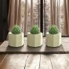 Nandini Homeware™ Set of 3 Small Indoor Succulent Planters & Flowerpots for Home Decor (Without Plants) (Hexagon)