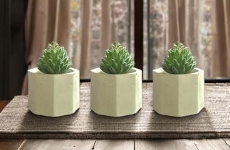 Nandini Homeware™ Set of 3 Small Indoor Succulent Planters & Flowerpots for Home Decor (Without Plants) (Hexagon)