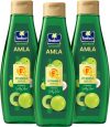 Parachute Advansed Amla Hair Oil with Vitamin E | Amla & Vitamin E | For All Hair Types Hair Oil(1500 ml)