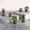 Lifelong Set of 6 Home Decor for Living Room & Balcony | 6 Inch Flower Pot | Decorative Indoor & Outdoor for Plants | Gamla, Pot Stand for Home & Garden Decoration | Ideal for Small Plants