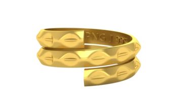 P.N.Gadgil Jewellers 1 gm Vedhani Gold coin 24 kt (995)