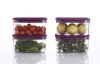 Arto Clear Food Storage Containers with Purple Lids, Rectangular Shape, (POF-5)