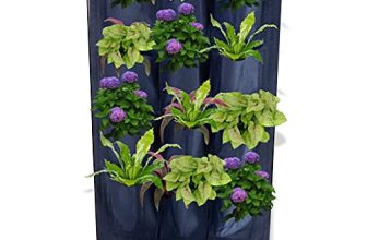 TrustBasket Green Shade Mirror