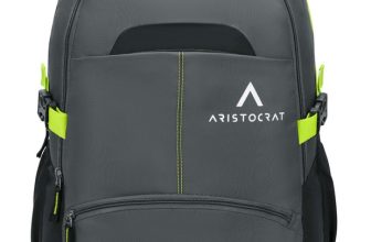 ARISTOCRAT Charge With Multiple Utility Pockets & Rain Cover 32 L Laptop Backpack(Grey)