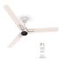 RR Signature MORPHEUS 1200 MM BLDC Ceiling Fan With Remote | 60% Energy Savings | BEE 5 Star Rated Energy Efficiency| 2 Year Warranty [Brown]