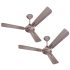 Havells 1200mm Samraat Energy Saving Ceiling Fan (Smoke Brown, Pack of 1)
