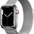 Apple WatchSeries7(GPS+Cellular, 41mm) SilverStainless Steel Case-Starlight Sport Band(Silver Strap, Regular)